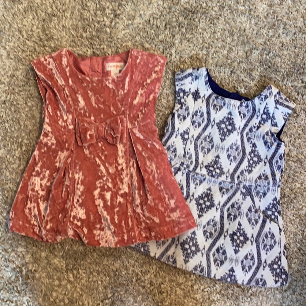 12 month dress/tunic bundle